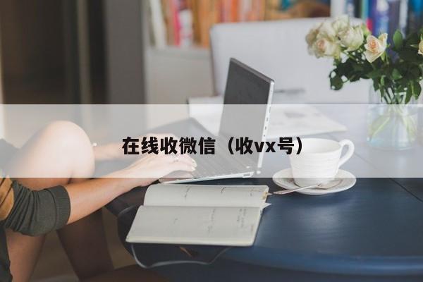 在线收微信（收vx号）